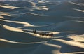 Camel caravan & sand dunes Royalty Free Stock Photo