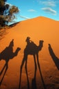 Camel caravan shadows Royalty Free Stock Photo