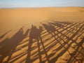 Camel caravan shadows in Sahara desert Royalty Free Stock Photo