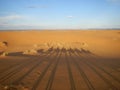 Camel caravan shadows in Sahara desert Royalty Free Stock Photo