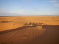 Camel caravan shadows in Sahara desert Royalty Free Stock Photo