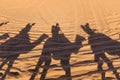 Camel caravan shadows in a sand Royalty Free Stock Photo