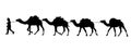 camel caravan silhouette