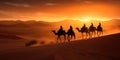 Camel caravan silhouette through the sand dunes in the Sahara Desert, Morocco Royalty Free Stock Photo