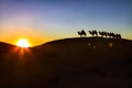 Camel caravan & sunset