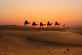 Camel caravan with tourists at sunset in Arabian Dessert