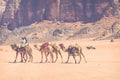 Camel caravan traveling in Wadi Rum,Jordan Royalty Free Stock Photo