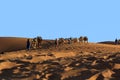 Camel caravan trekking in the Sahara desert Royalty Free Stock Photo
