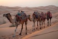 camel caravans traveling .Generative Ai Royalty Free Stock Photo