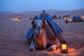 camel caravans traveling in the desert .Generative Ai Royalty Free Stock Photo