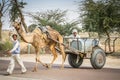 Camel cart