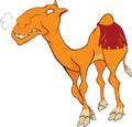 Camel . Cartoon