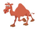 Camel cartoon vector illustration