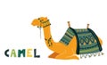 Camel cartoon vector illustration on white. Decorated camel with seat for a ride Royalty Free Stock Photo