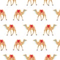 Camel cartoon vector seamless pattern on white.