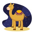 Camel cartoons in the night. vector