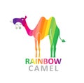 Camel color rainbow