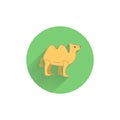 Camel colorful flat icon with long shadow.