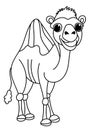 Camel Coloring Page For Kids Royalty Free Stock Photo