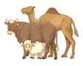 Camel cow and goat animals cartoons