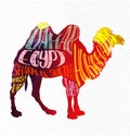 Camel with creative lettering, vector image