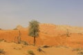 Jebel Maleiha and Fossil Rock