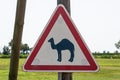 Camel crossing road sign with green grass background, beware of camels road sign - Image Royalty Free Stock Photo