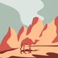 Camel and Desert