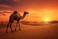 Camel in the desert at sunset. 3d render illustration, Dromedary at the sunset, AI Generated Royalty Free Stock Photo