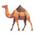 camel desert travel icon