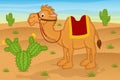 Camel in desert