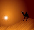 Camel in Desert