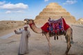 camel driver with his camel before the Step Pyramid