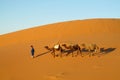 Camel driver with three camels in sand desert