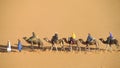 Camel driver with tourist camel caravan Royalty Free Stock Photo