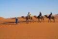 Camel driver with tourist camel caravan