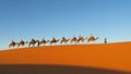 Camel driver with tourist camel caravan in desert