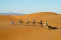 Camel driver with tourist camel caravan in desert Royalty Free Stock Photo