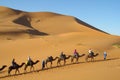 Camel driver with tourist camel caravan in desert