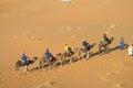 Camel driver with tourist camel caravan in desert