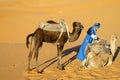 Camel driver with two camels in sand desert Royalty Free Stock Photo