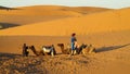Camel driver with two camels in sand desert Royalty Free Stock Photo