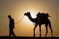 A camel driver walks with his camel in the sun light Royalty Free Stock Photo