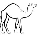 Camel Dromedary Outline Design