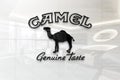 Camel on glossy office wall realistic texture