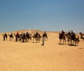 Camel Expedition in Egypt