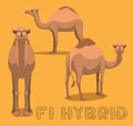 Camel F1 Hybrid Cartoon Vector Illustration