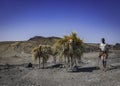 Camel Farmer near Djibouti