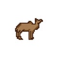 Camel flat icon. Abstract pixel art style. 8-bit. Knitting design. Isolated vector illustration