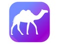 Camel flat icon with long shadow. Pictogram gradient color. Vector